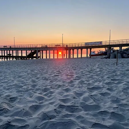 In Ch Opy Near Seaside *