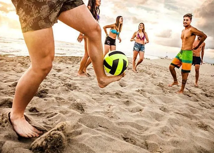 In Ch Opy Near Seaside *